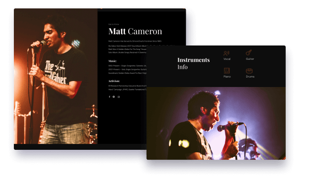 Elegant Musician Profile