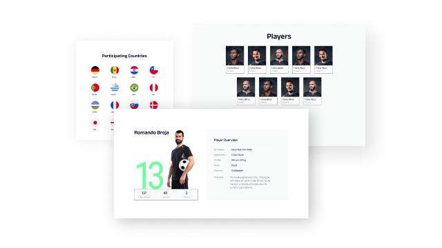 Stylishly Display Team Profile and Player Details