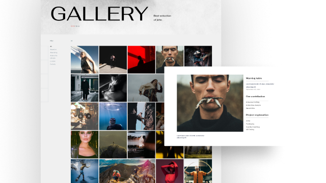 Create a Visual Showcase With the Gallery Page