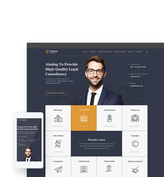 Themis Overview