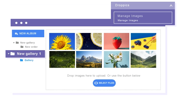 Manage images and galleries from frontend Images and galleries can be managed from the frontend in 2 ways: Using the text editor button like in backend or using a dedicated interface with a custom frontend template. Droppics works with Joomla ACL, and you can define which user group can add/modify/remove images and categories.