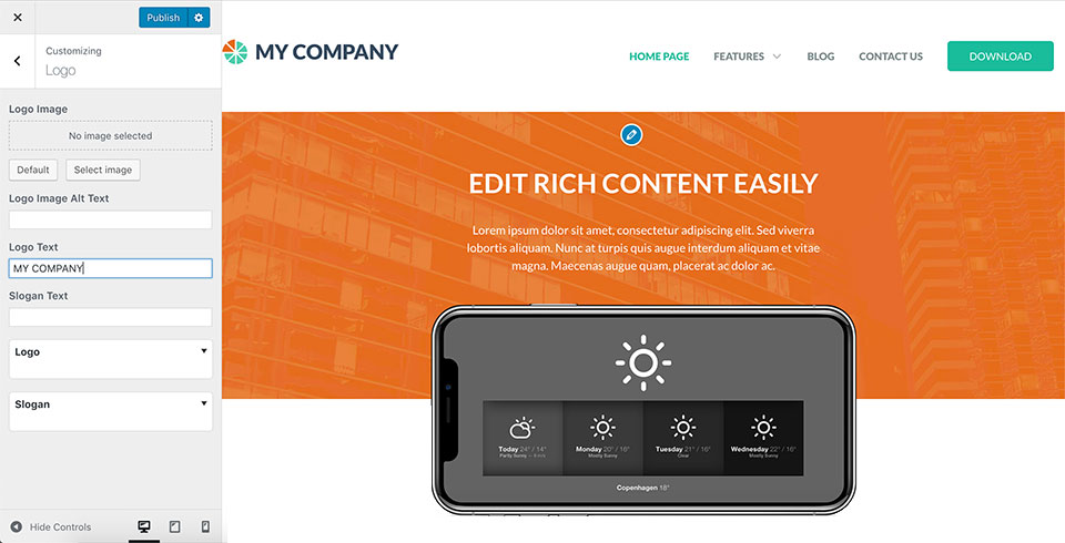 You can create your own color combinations through the Sparky Framework’s control panel. Also, from the same place, you can control the layout of the theme.\n\nUsing a drag-and-drop user interface you can add more widget positions to the theme and other elements. Also, this theme is fully compatible with WordPress Customizer. You can control fonts (Google collection of 800+ free fonts), colors, menus, etc., and see the results live!
