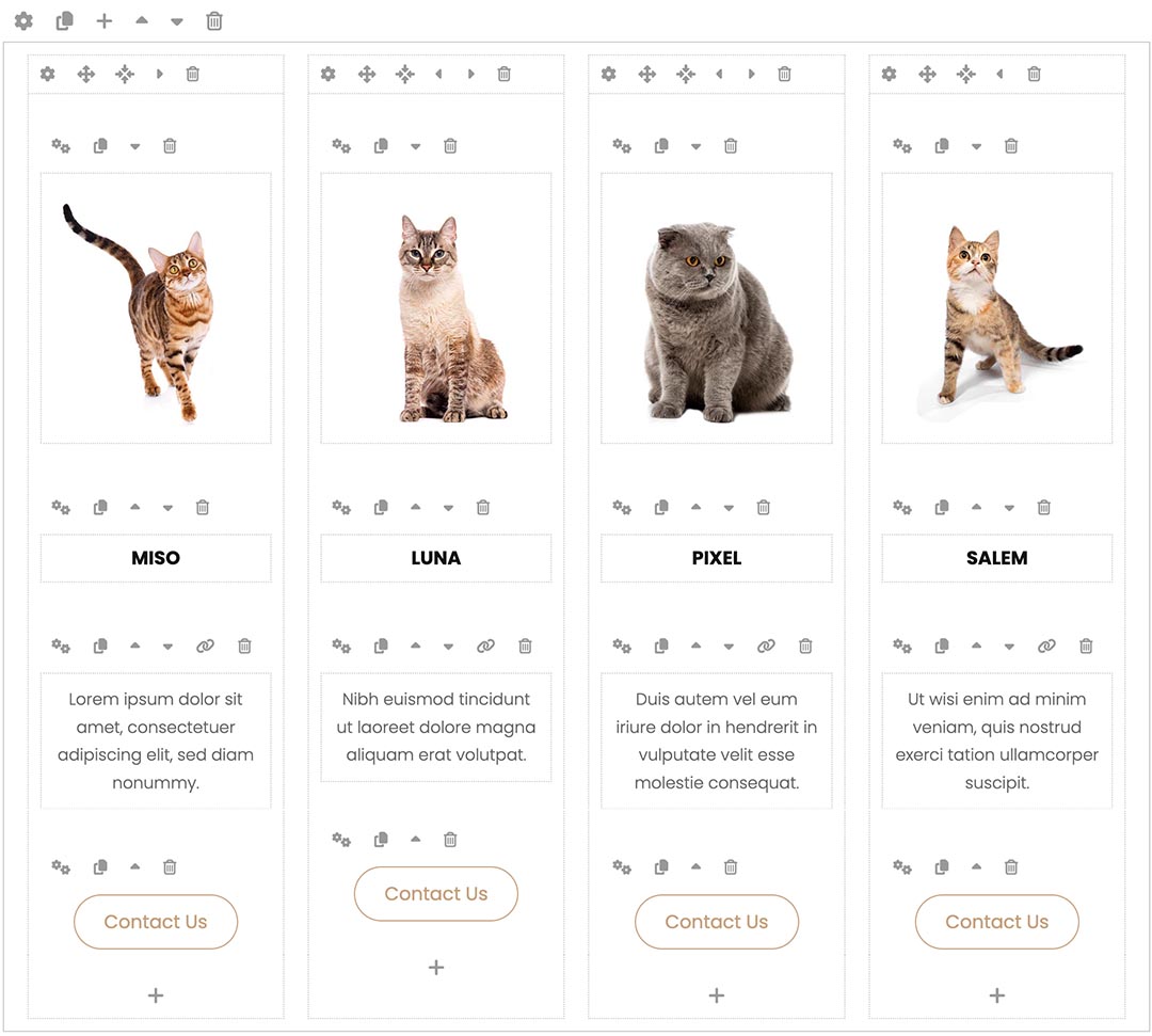 Cats Joomla Template