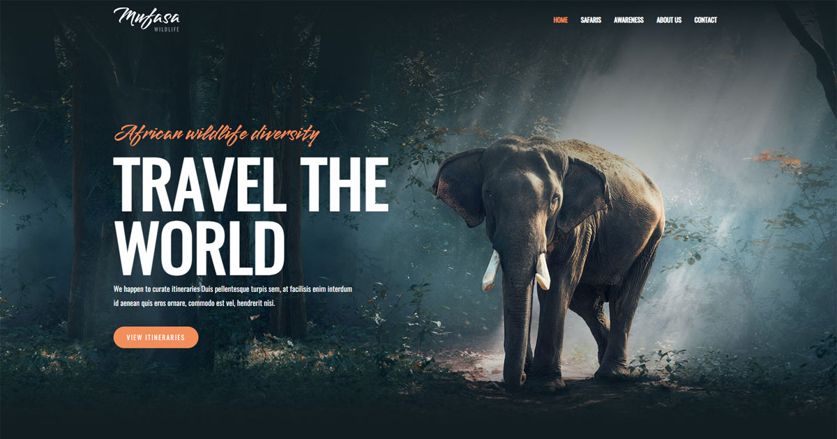 Wildlife Safari