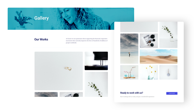 Professional Work Gallery