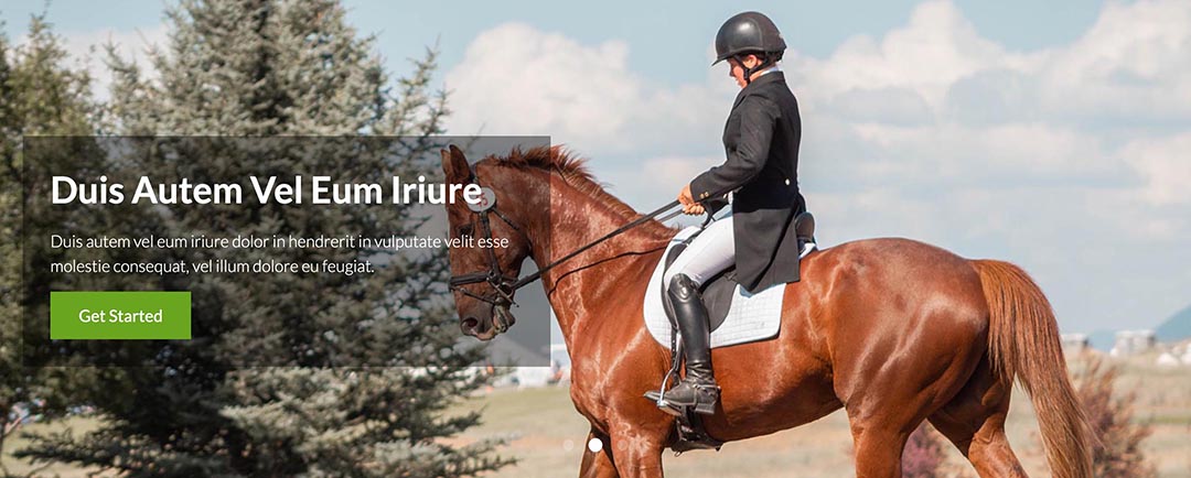 The second home page variant of the Horses template is based on the well-known Hot Swipe Carousel module.\n\nThis module lets you combine some attractive images with call-to-action text blocks. The module is 100% responsive and mobile-friendly.