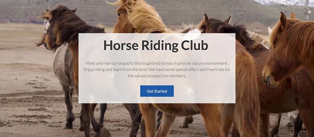 The third home page variant includes a video background with call-to-action text block.\n\nUsing the page builder, you can simply point to the video file hosted on your website and also change the heading, text, and button of the overlay block.