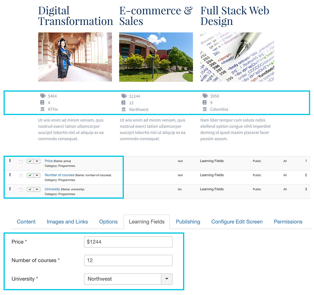 The custom fields is a relatively new Joomla! feature that can dramatically improve features and maintenance of your website. This template fully supports the custom fields. As you can see on our template demo (in the Programmes section), we are using the custom fields to attach some additional pieces of data to each Joomla! article (learning programmes in this case). So, you can easily add and edit the program price, number of courses and the university that provides the program. All of this is very customizable, so you can customize the existing custom fields or add new that are more appropriate for your website.