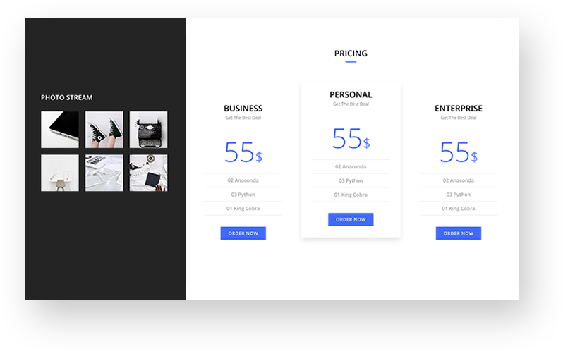 Photo Gallery & Pricing Table